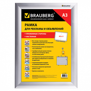      BRAUBERG , 3 297*420, .  25, . , 232204