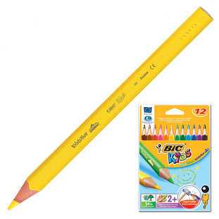   BIC Triangle 12., ., ., . .  , 829735